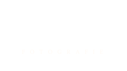 Denise Klein Fotografie
